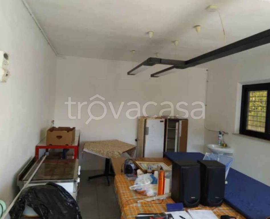 immagine annuncio 4 di 12