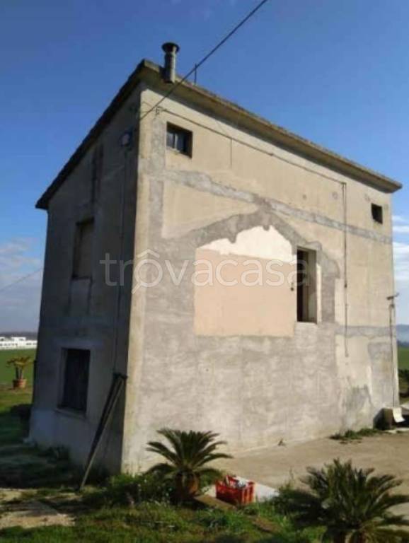 immagine annuncio 6 di 12