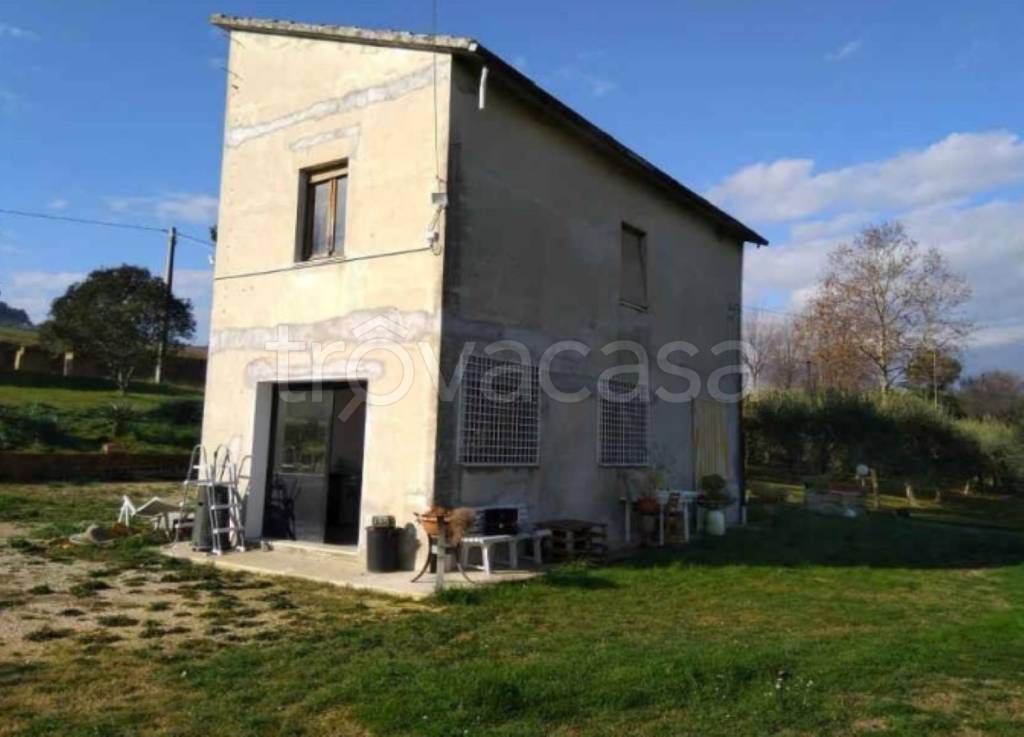 immagine annuncio 8 di 12