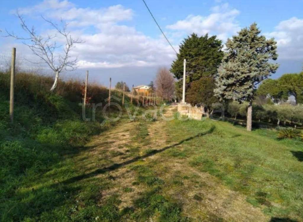 immagine annuncio 9 di 12