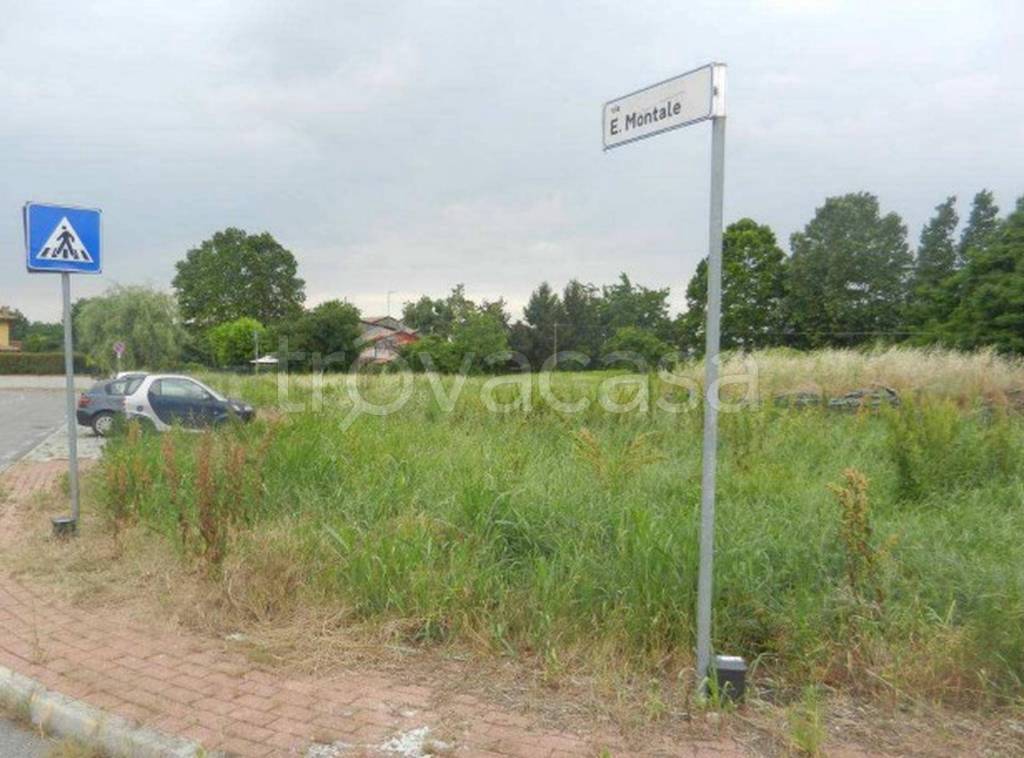 immagine annuncio 2 di 12