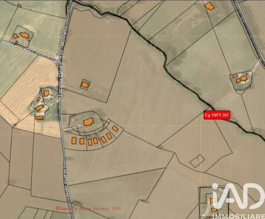 immagine annuncio 4 di 8