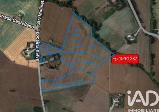 immagine annuncio 7 di 8