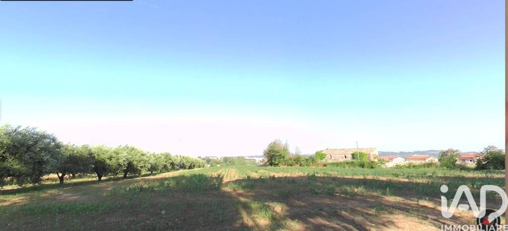 immagine annuncio 5 di 8