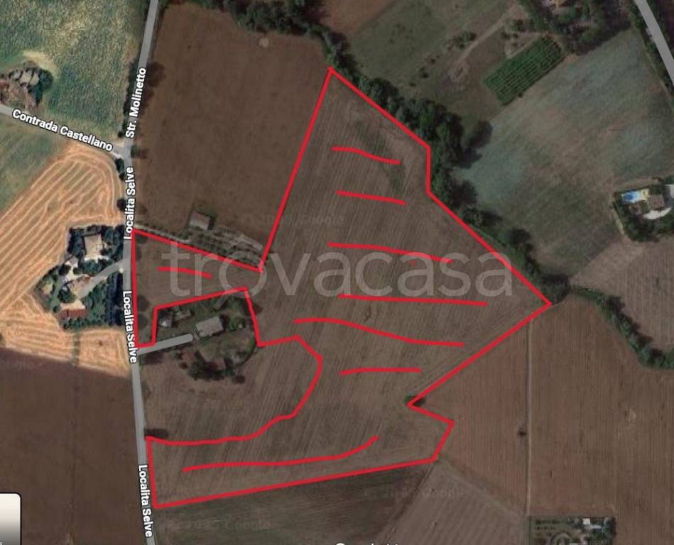 immagine annuncio 2 di 8