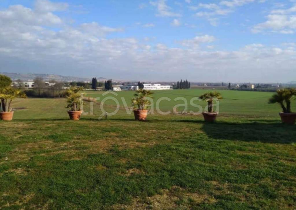 immagine annuncio 2 di 11