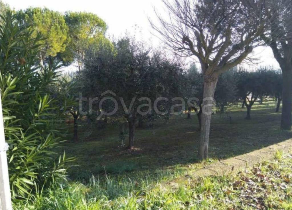 immagine annuncio 4 di 11