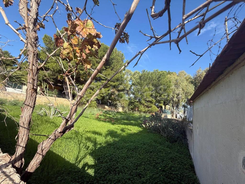 immagine annuncio 3 di 6