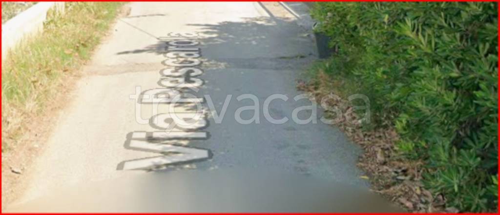 immagine annuncio 9 di 12