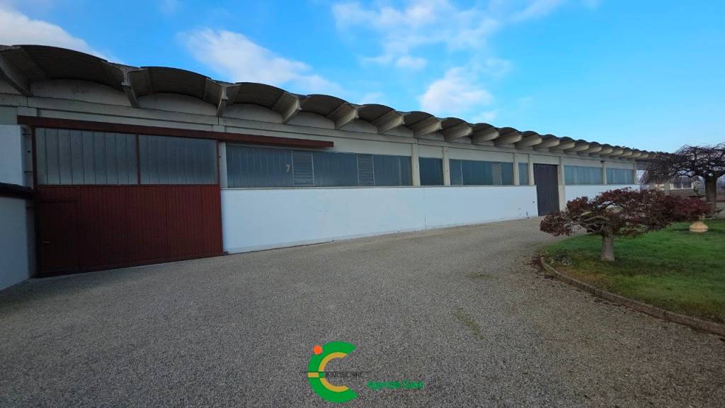 immagine annuncio 3 di 8