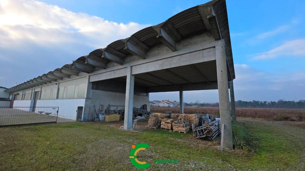 immagine annuncio 4 di 8