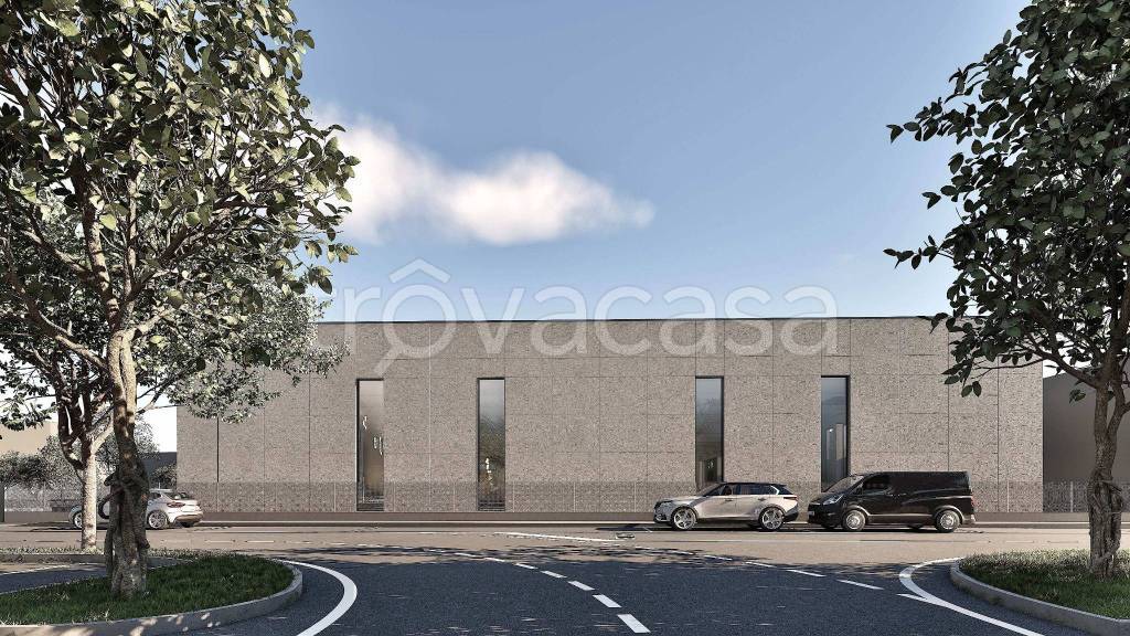 immagine annuncio 2 di 8