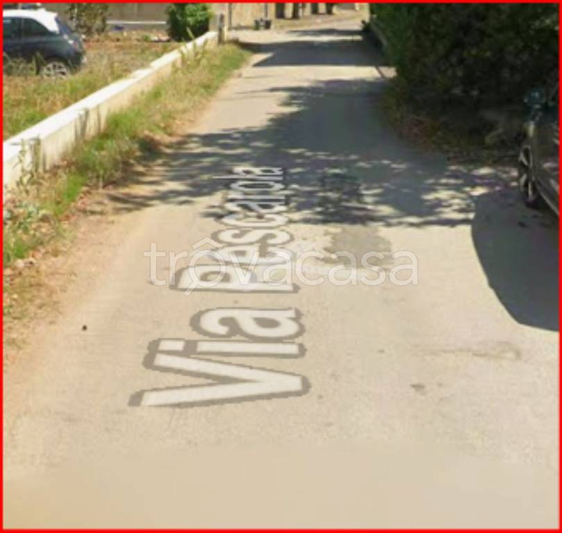 immagine annuncio 5 di 12