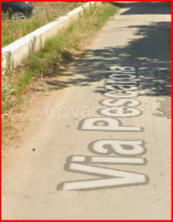 immagine annuncio 8 di 12