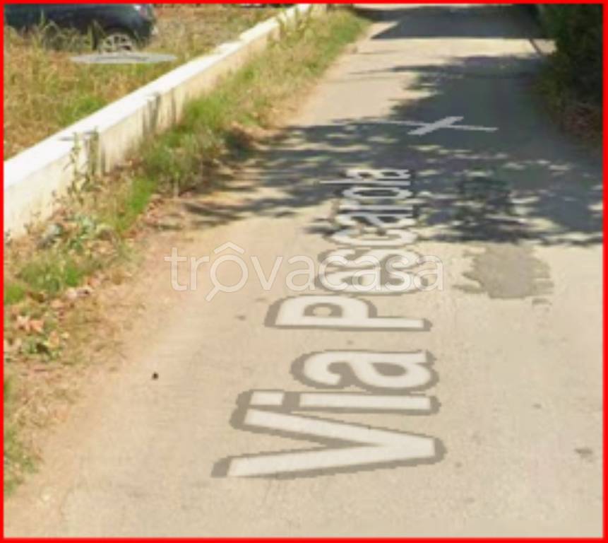 immagine annuncio 9 di 12