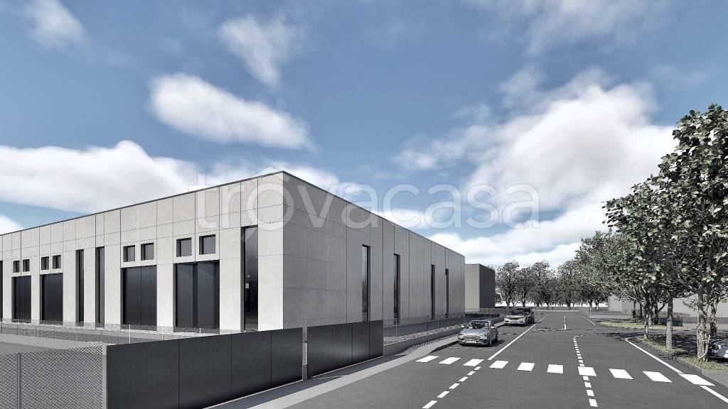 immagine annuncio 2 di 10