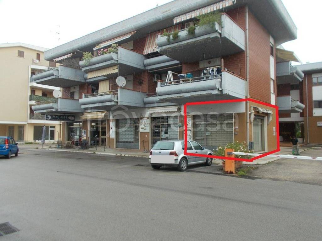 immagine annuncio 1 di 12