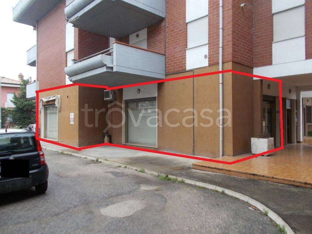 immagine annuncio 2 di 12