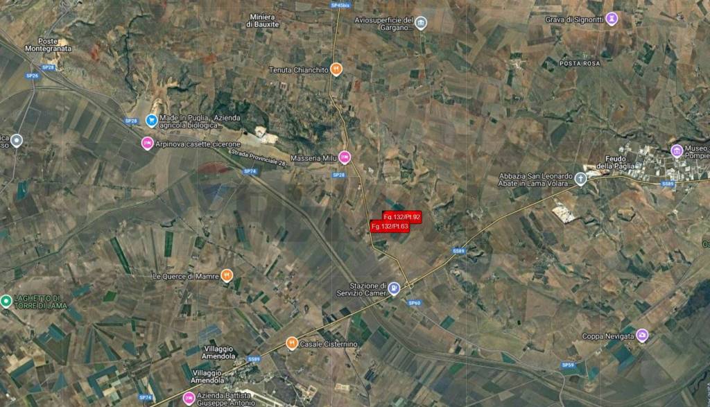 immagine annuncio 2 di 14