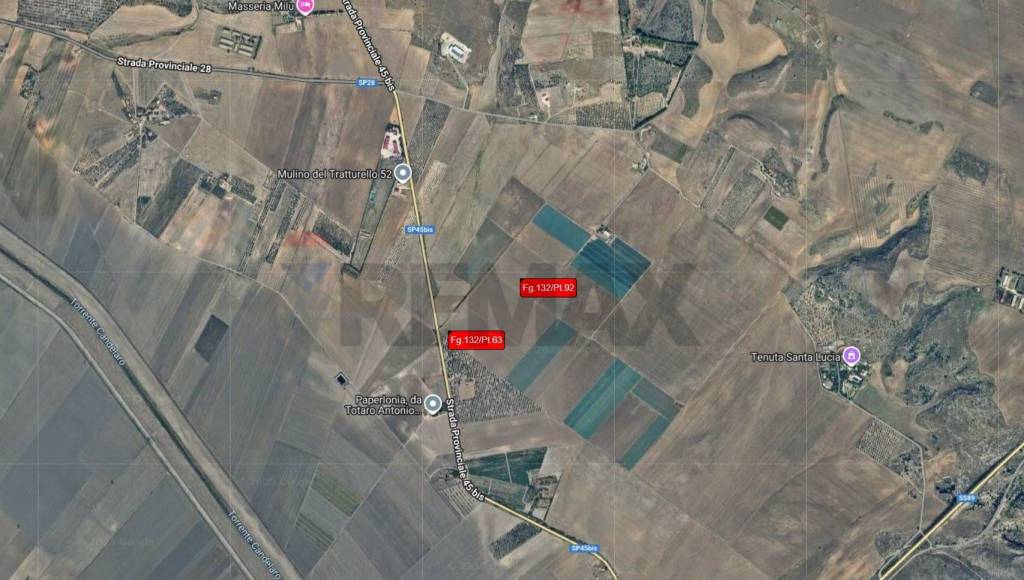 immagine annuncio 4 di 14