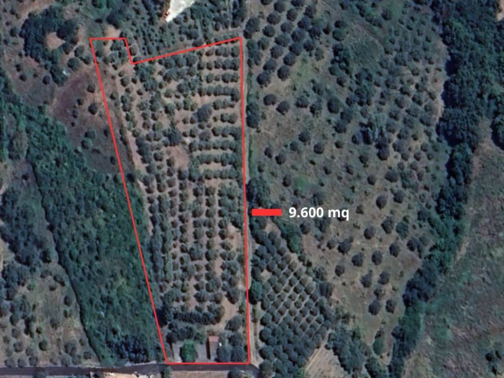 immagine annuncio 2 di 14