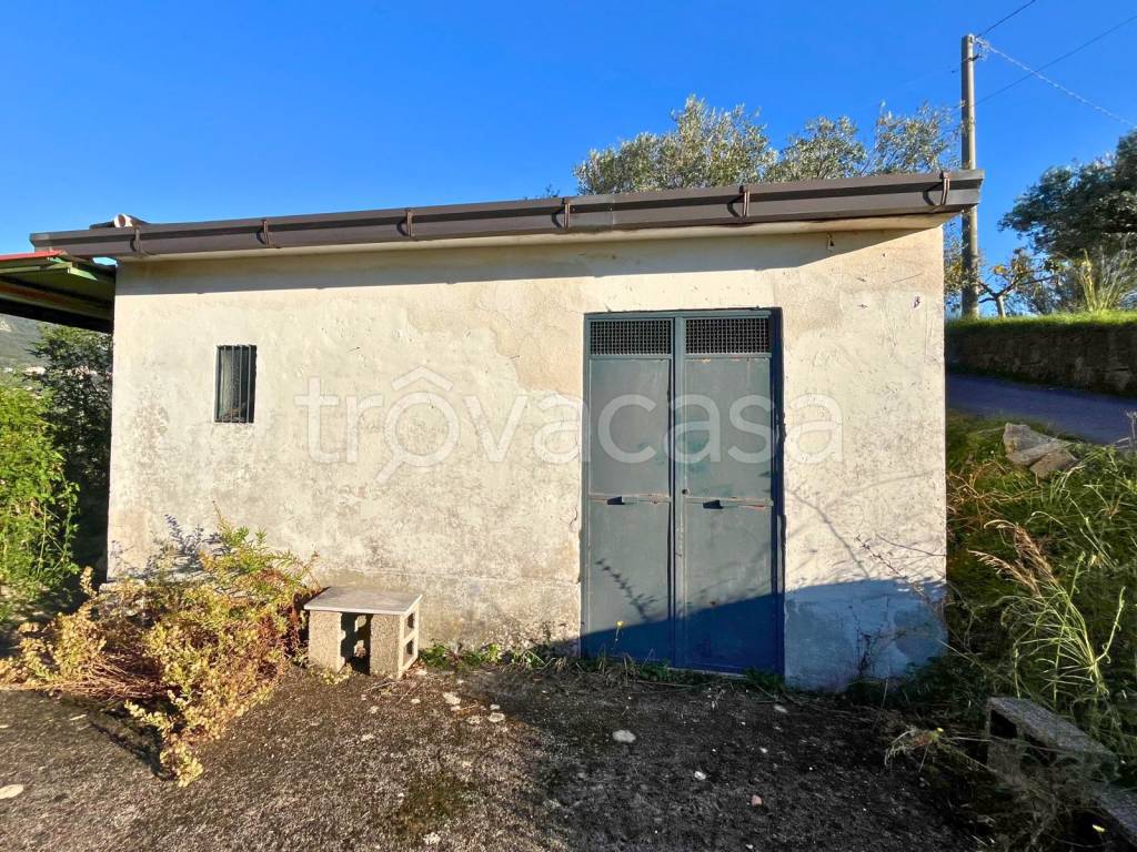 immagine annuncio 10 di 14