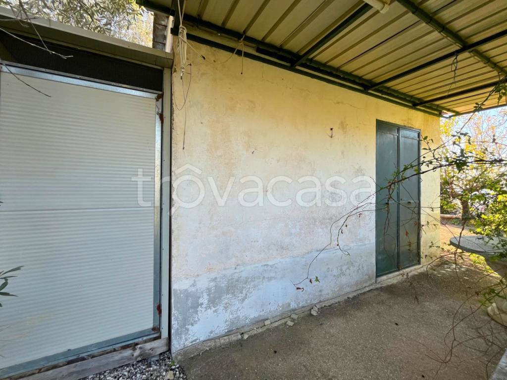 immagine annuncio 11 di 14