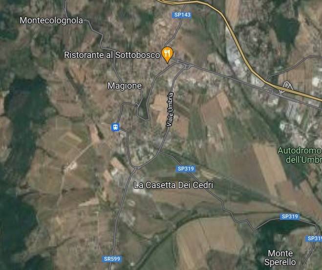 immagine annuncio 12 di 15