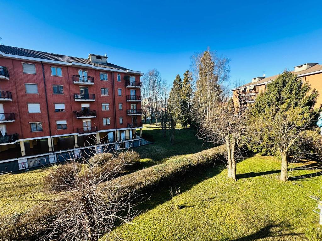 immagine annuncio 6 di 15