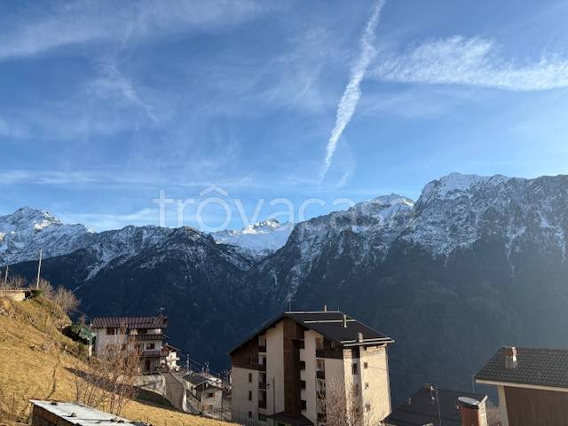 immagine annuncio 2 di 14