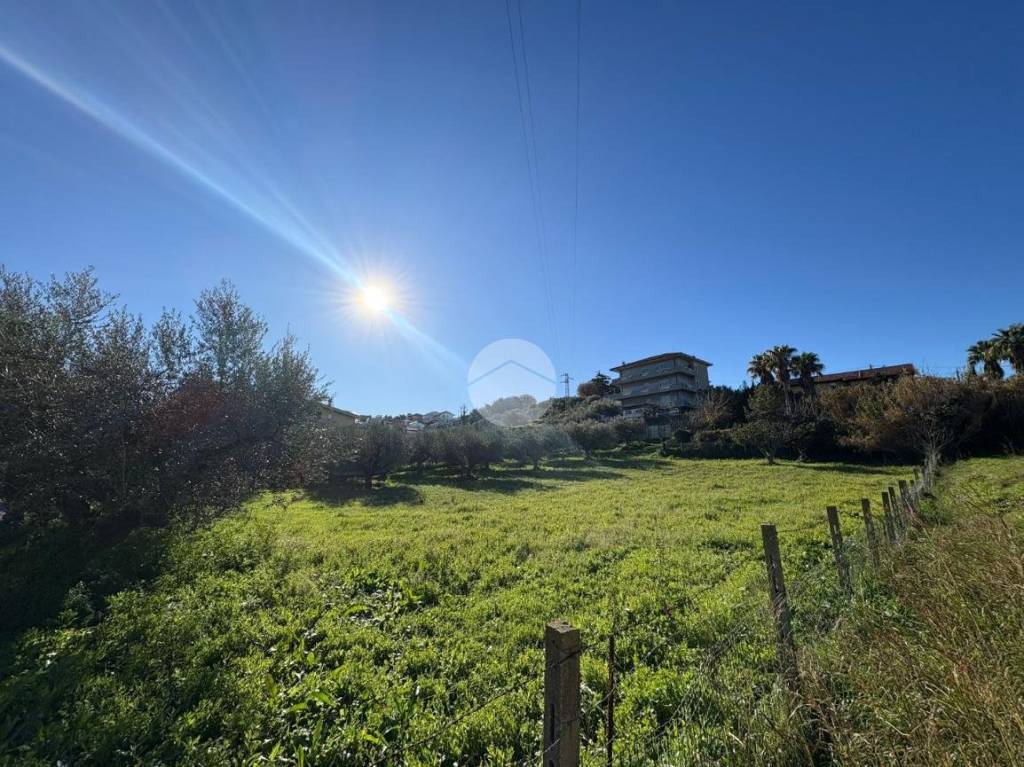 immagine annuncio 7 di 12