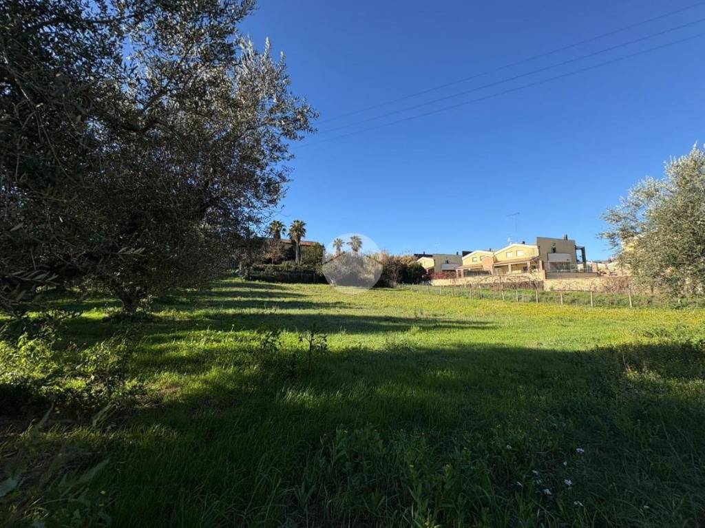 immagine annuncio 8 di 12