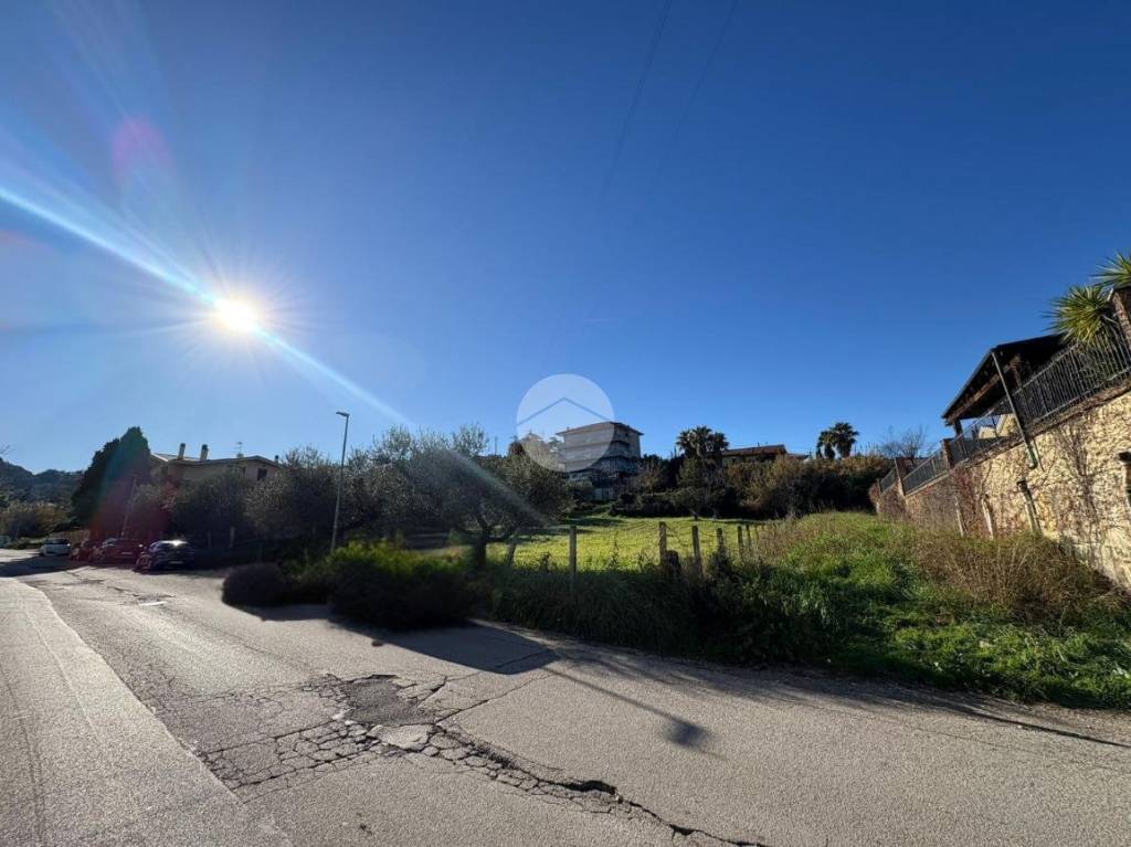 immagine annuncio 9 di 12