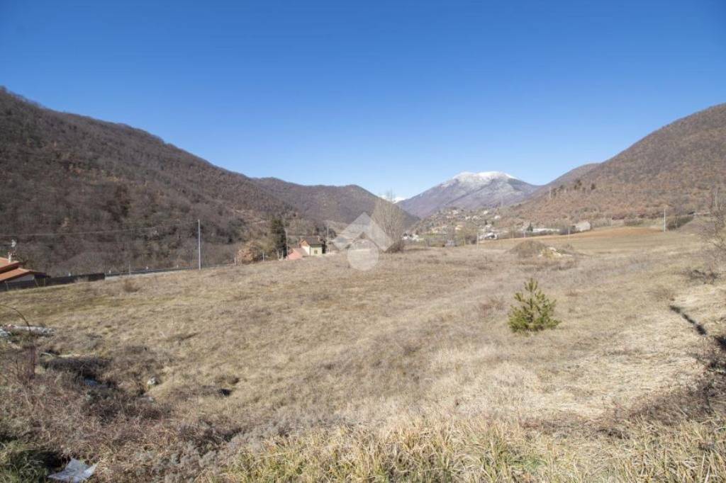 immagine annuncio 4 di 14