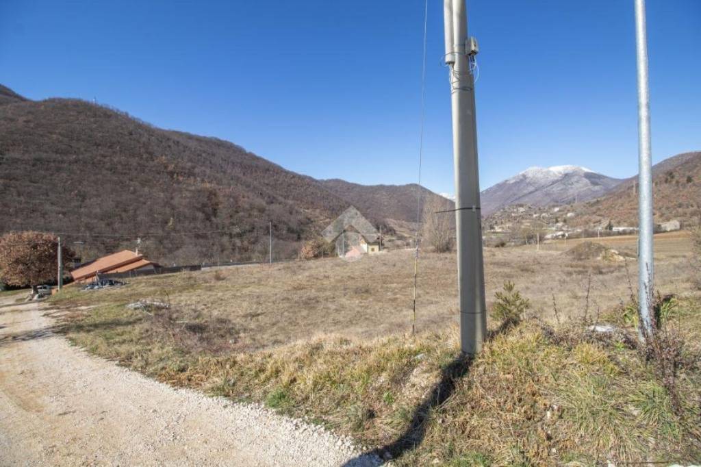 immagine annuncio 6 di 14