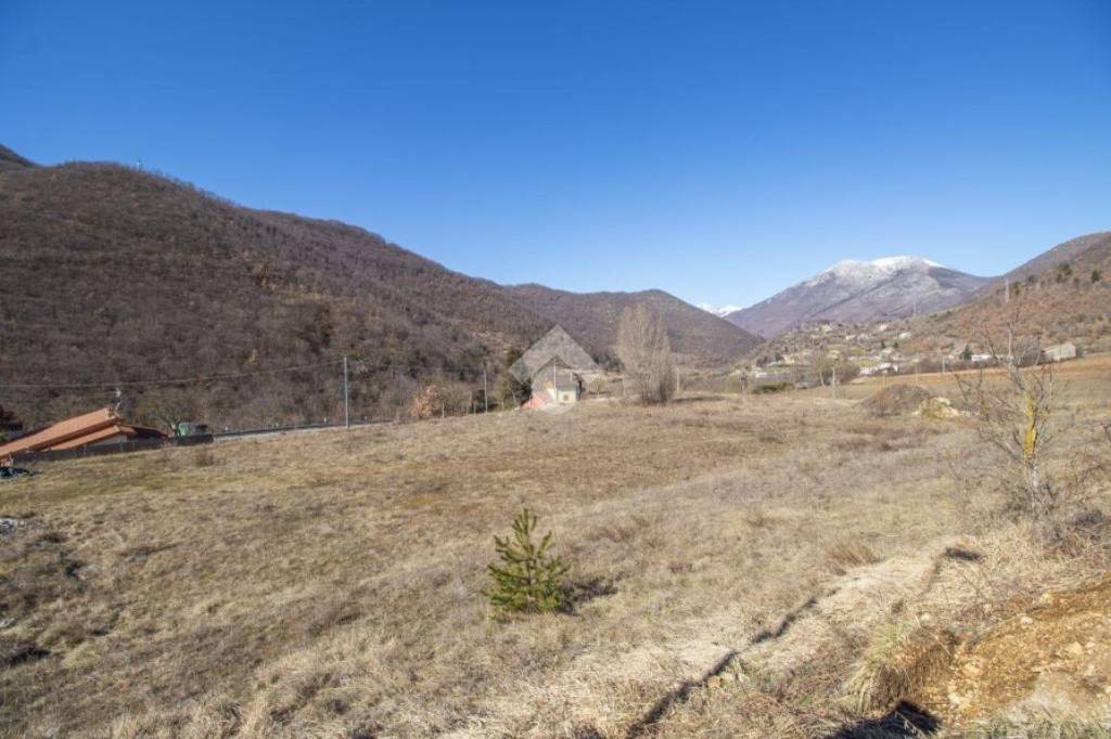 immagine annuncio 12 di 14