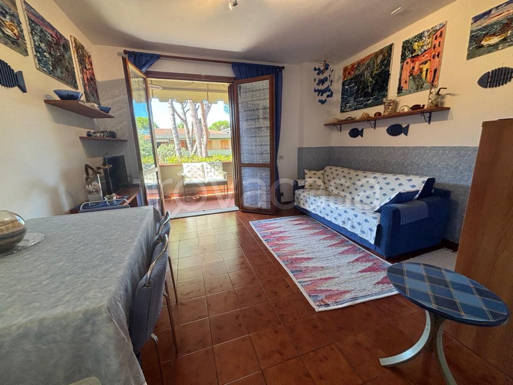 immagine annuncio 3 di 12