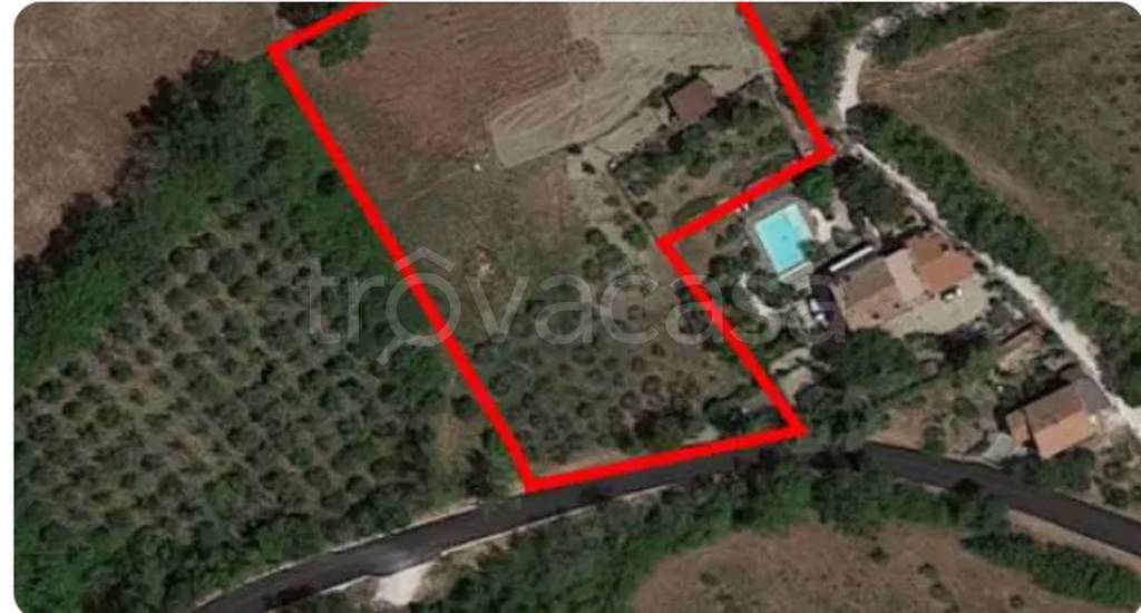 immagine annuncio 2 di 12