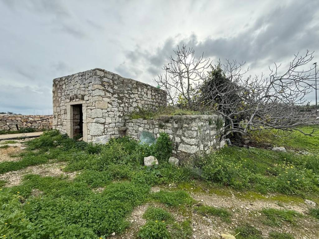 immagine annuncio 2 di 14