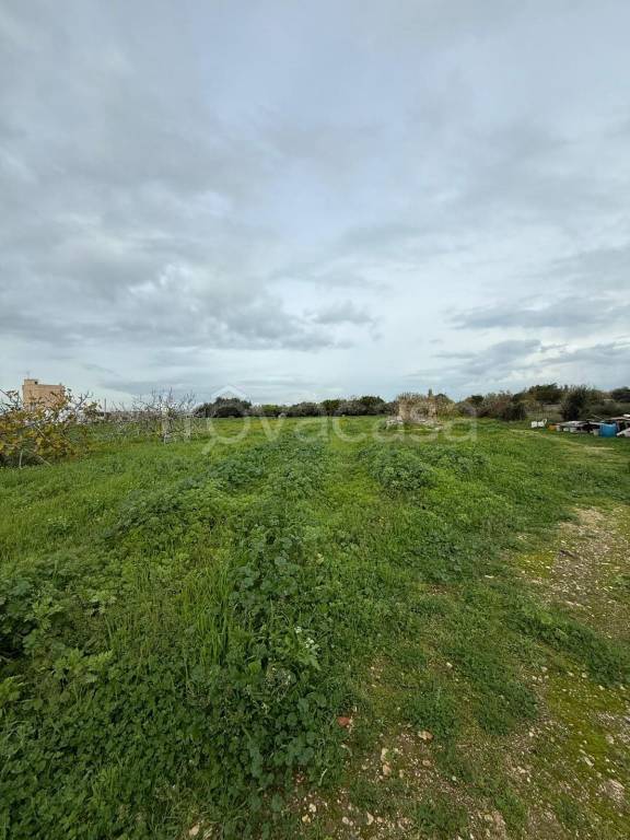 immagine annuncio 6 di 14