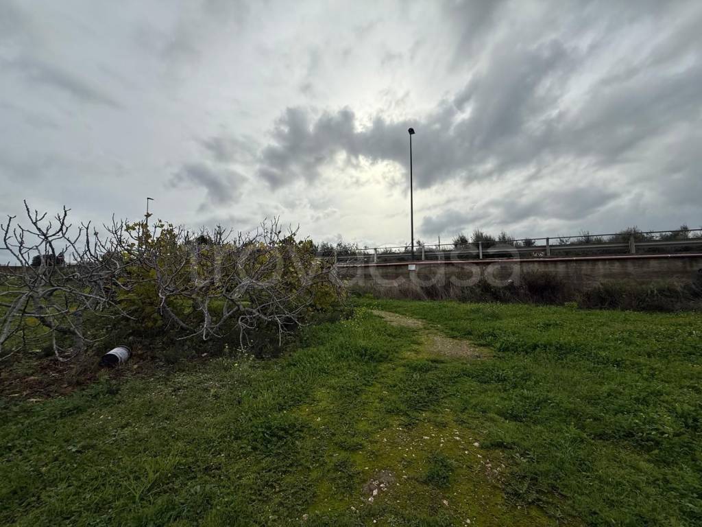 immagine annuncio 8 di 14