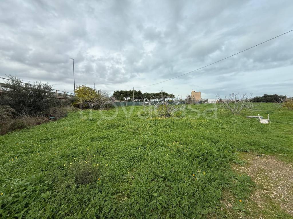 immagine annuncio 10 di 14