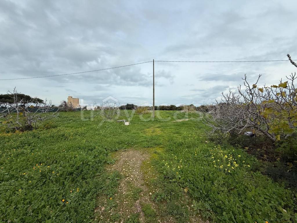 immagine annuncio 4 di 14