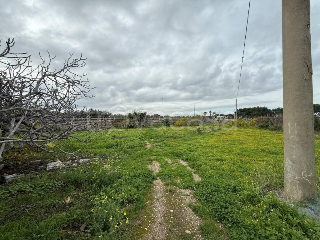 immagine annuncio 5 di 14