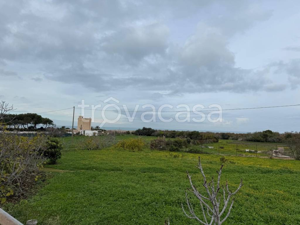 immagine annuncio 12 di 14