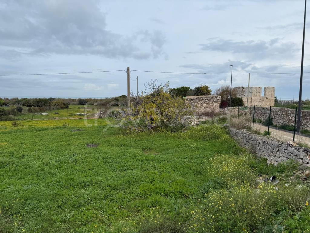 immagine annuncio 13 di 14