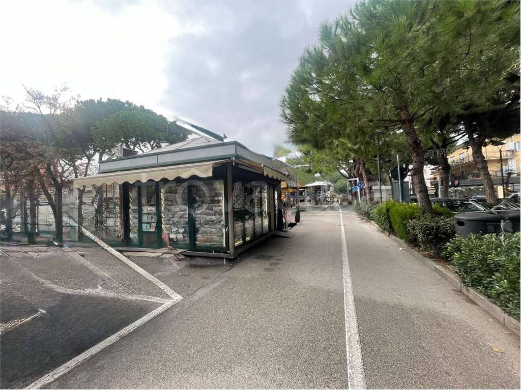 immagine annuncio 2 di 8