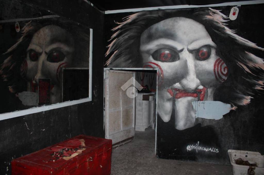 immagine annuncio 1 di 13