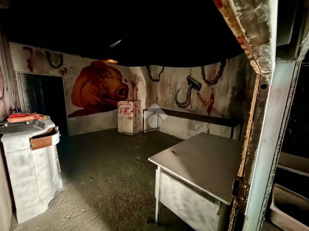 immagine annuncio 3 di 13