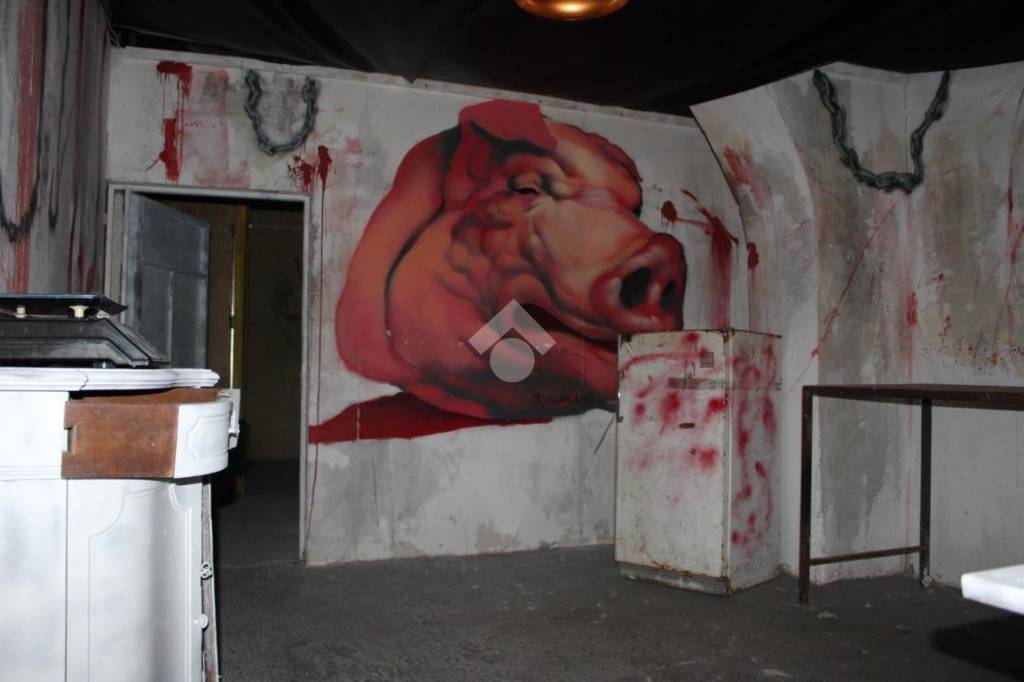 immagine annuncio 4 di 13